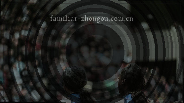 联系方式卡片：电话 123-456-7890，邮箱 contact@example.com。
